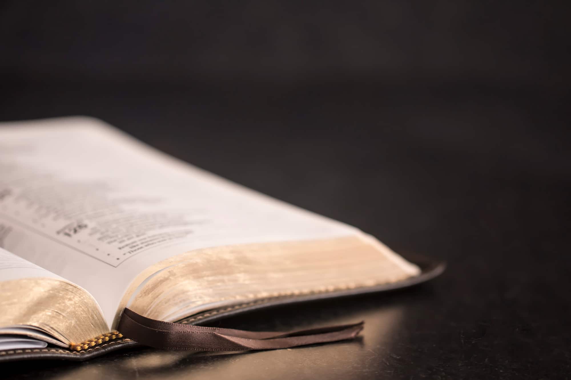 BI357 Bible Faith