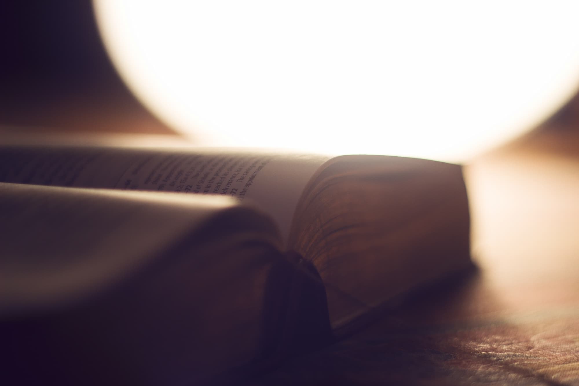 BI451 Bible Prophecy