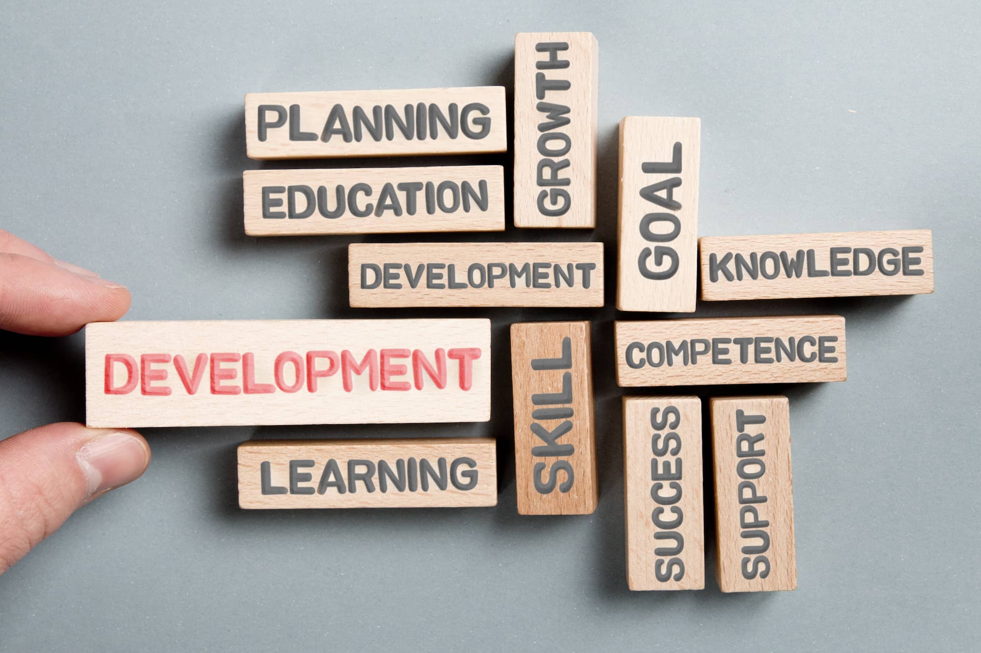 ED403 Professional Development