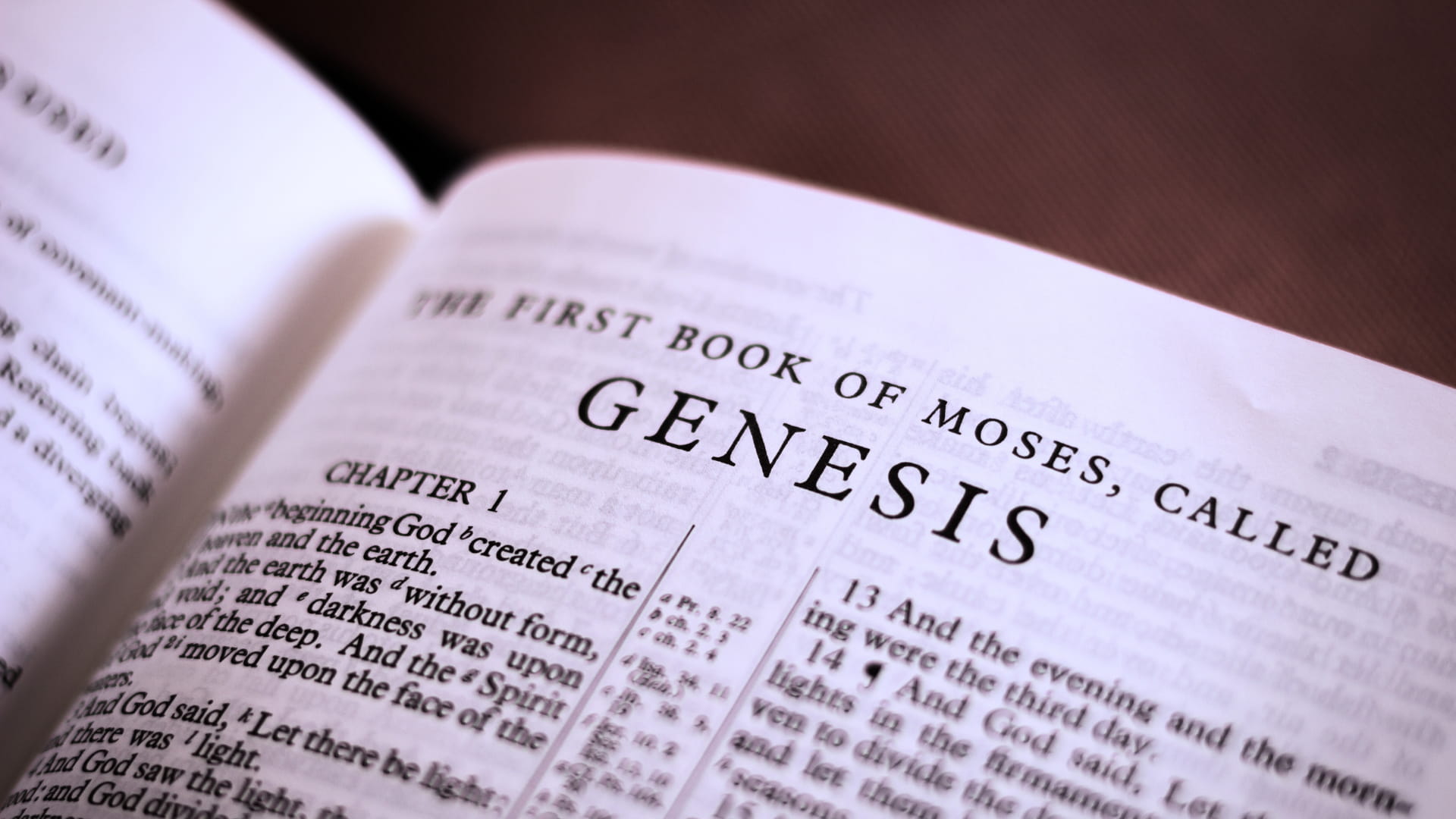 BI254 Genesis